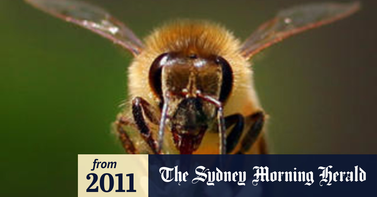 Threat To Honey Spreads